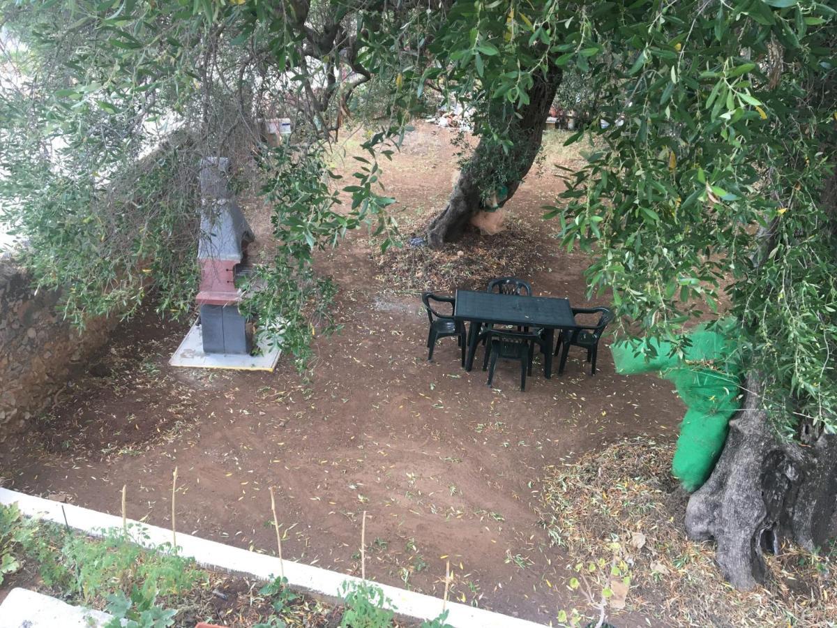 Casa Vacanza Maria Antonieta มารีนาดีกาเมโรตา ภายนอก รูปภาพ