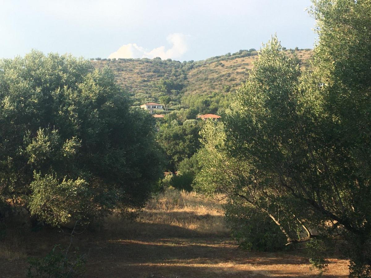 Casa Vacanza Maria Antonieta มารีนาดีกาเมโรตา ภายนอก รูปภาพ