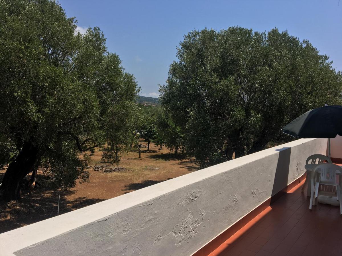 Casa Vacanza Maria Antonieta มารีนาดีกาเมโรตา ภายนอก รูปภาพ