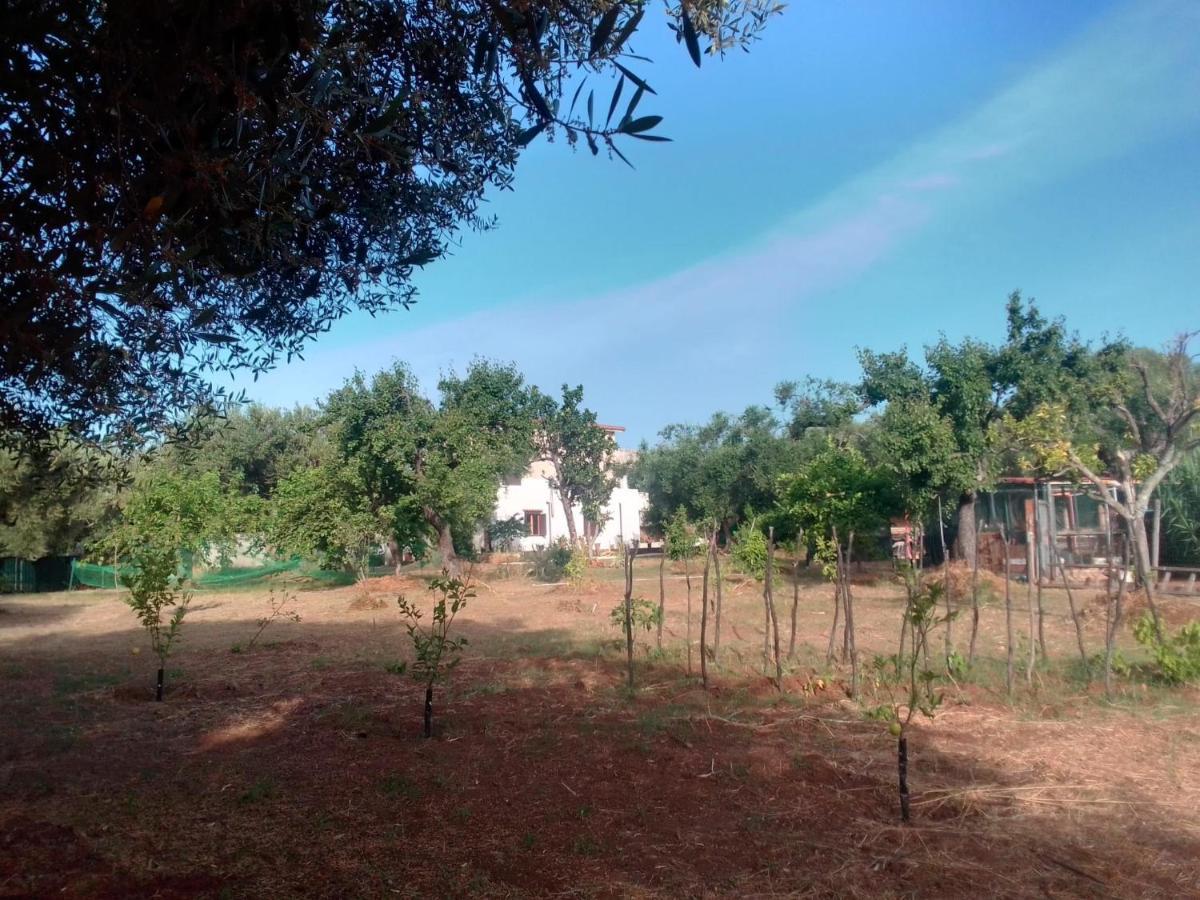 Casa Vacanza Maria Antonieta มารีนาดีกาเมโรตา ภายนอก รูปภาพ